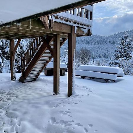 Villa Chalet Situe Au Grand Valtin Ban-sur-Meurthe-Clefcy Exterior foto