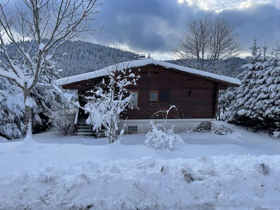 Villa Chalet Situe Au Grand Valtin Ban-sur-Meurthe-Clefcy Exterior foto